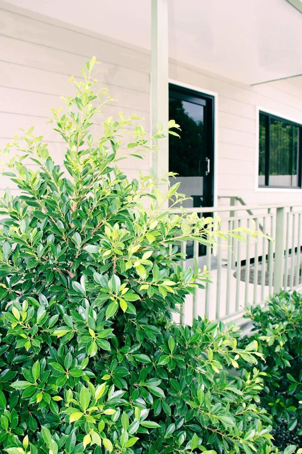 Citi Serviced Apartments & Motel - Lagatoi Place Port Moresby Exterior foto